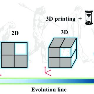 4D Printing: Historical evolution, computational insights and .